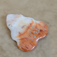 Daphne Quam Spiny Oyster Shell Frog Zuni Fetish