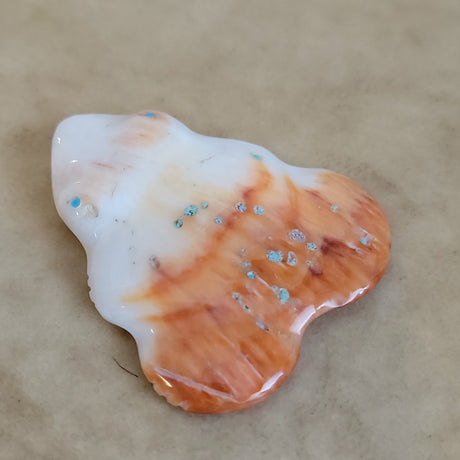 Daphne Quam Spiny Oyster Shell Frog Zuni Fetish