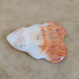 Spiny Oyster Shell Frog Zuni Fetish