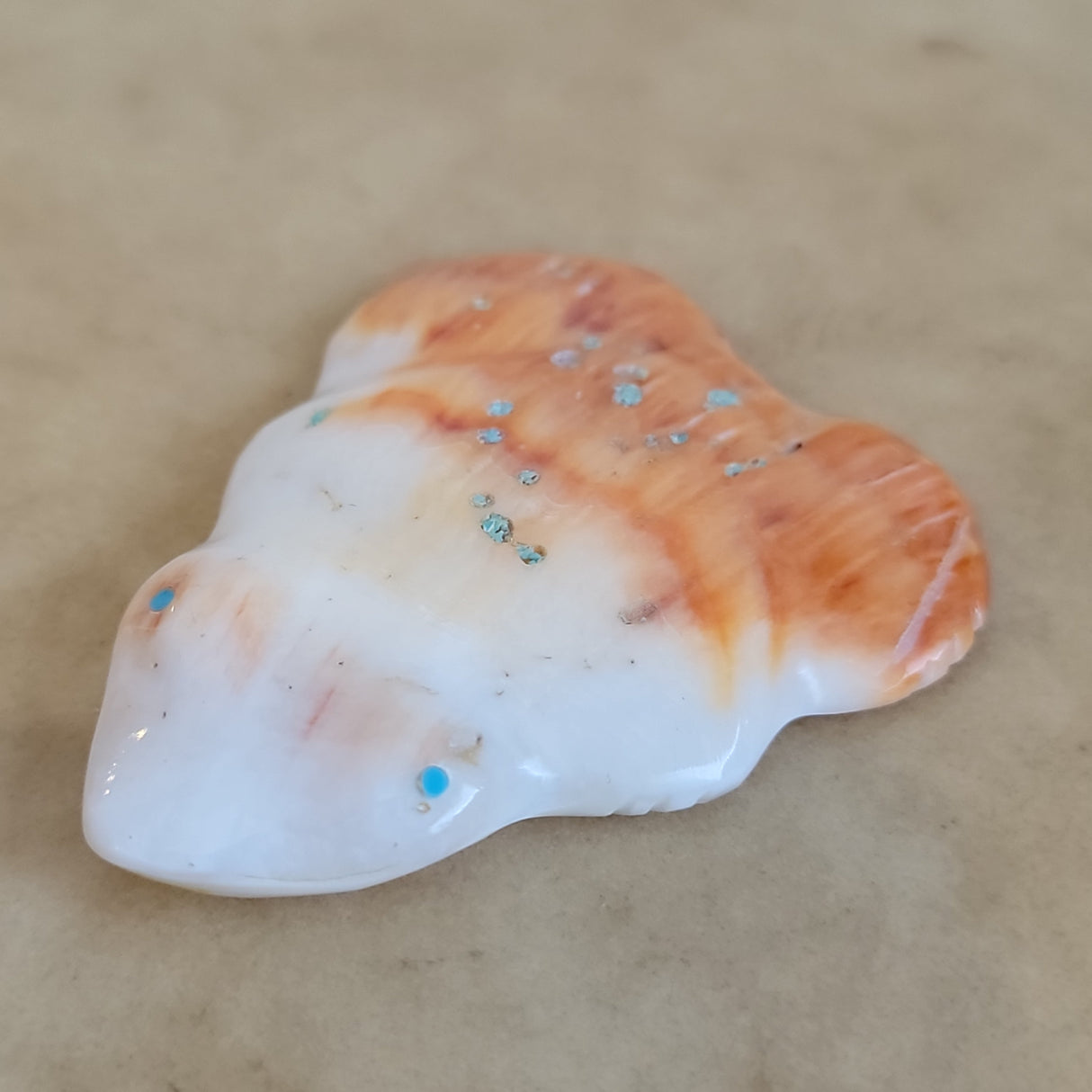 Spiny Oyster Shell Frog Zuni Fetish