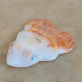 Spiny Oyster Shell Frog Zuni Fetish