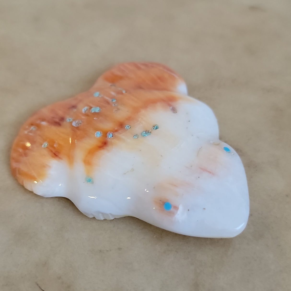 Spiny Oyster Shell Frog Zuni Fetish