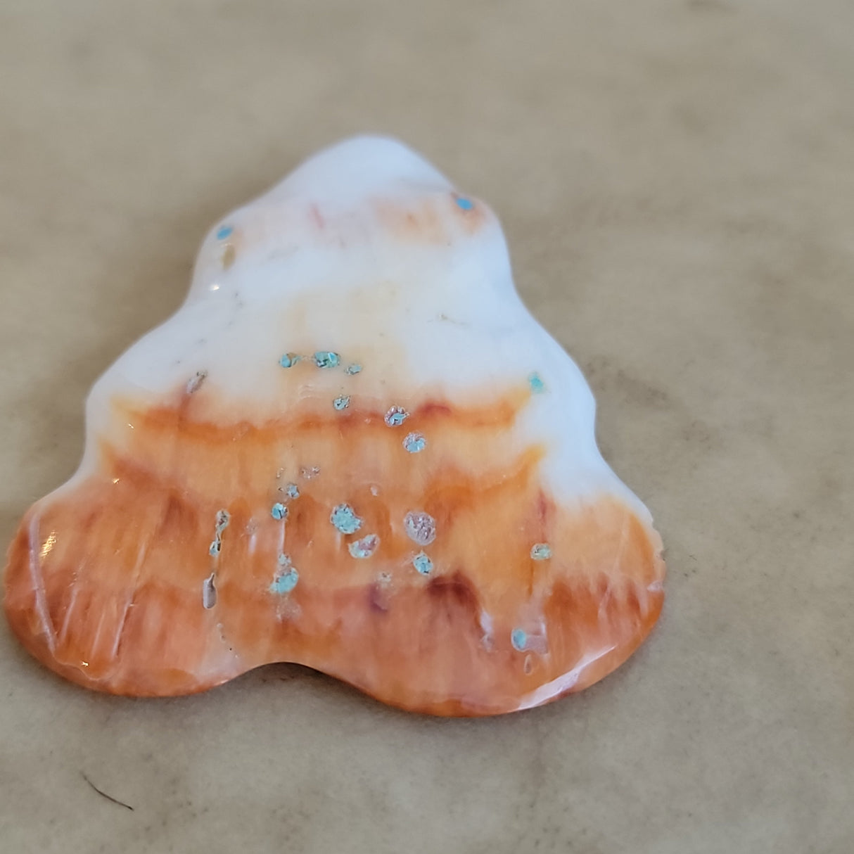 Spiny Oyster Shell Frog Zuni Fetish