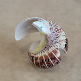 Snail Shell Eagle Zuni Fetish