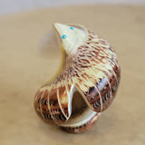 Snail Shell Eagle Zuni Fetish