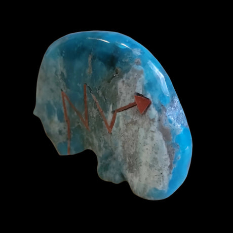 Chrysocolla Medicine Bear w/ Deep Red Coral Heartline Zuni Fetish