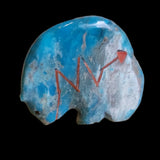 Chrysocolla Medicine Bear w/ Deep Red Coral Heartline Zuni Fetish