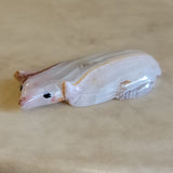 Randy Lucio Sleek Onyx Badger Zuni Fetish