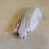 Onyx Badger Zuni Fetish