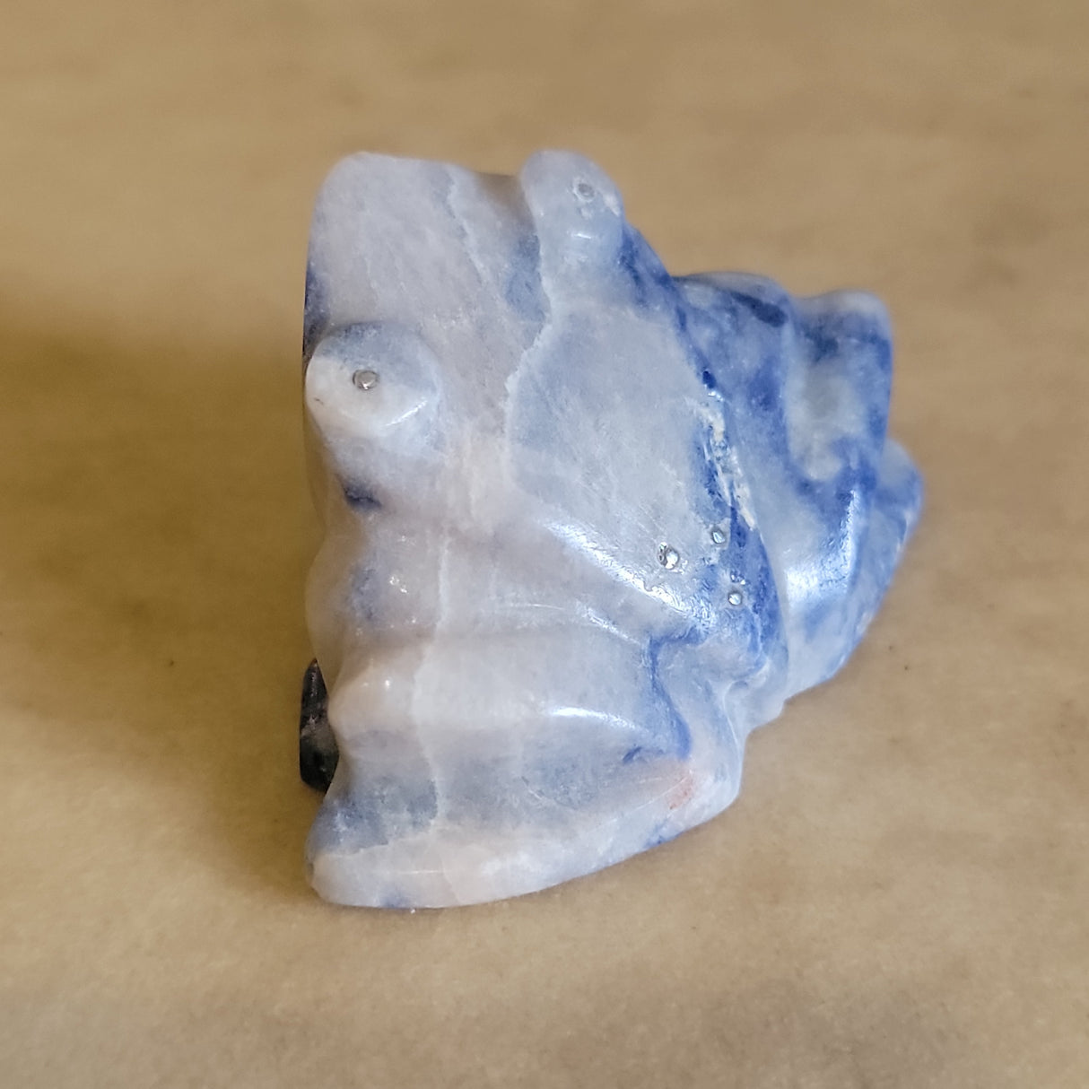 Kenny Chavez Abundance Filled Sodalite Frog Zuni Fetish