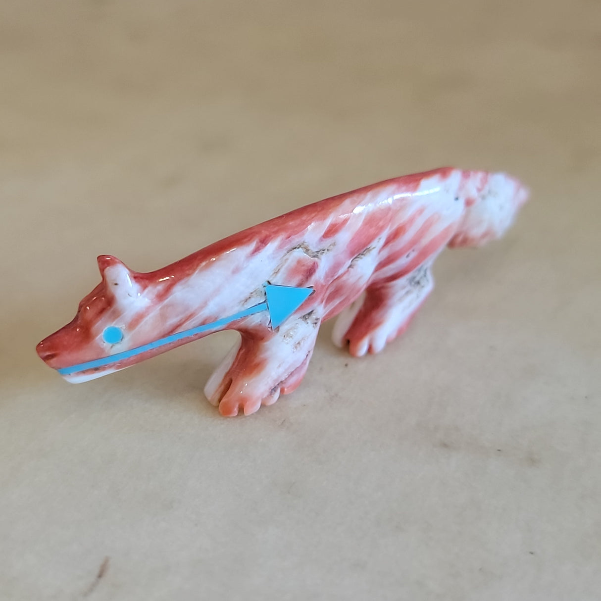 Spiny Oyster Shell Wolf  Zuni Fetish