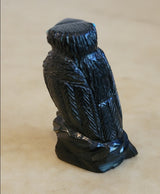 Jet Healing Raven Zuni Fetish