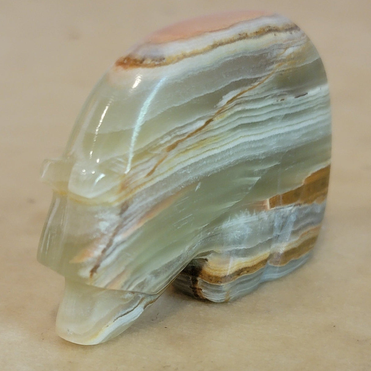 Onyx Medicine Bear  Zuni Fetish