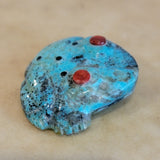 Reynold Lunasee Turquoise Zuni Fetish Turtle