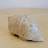 Travertine Armadillo Zuni Fetish