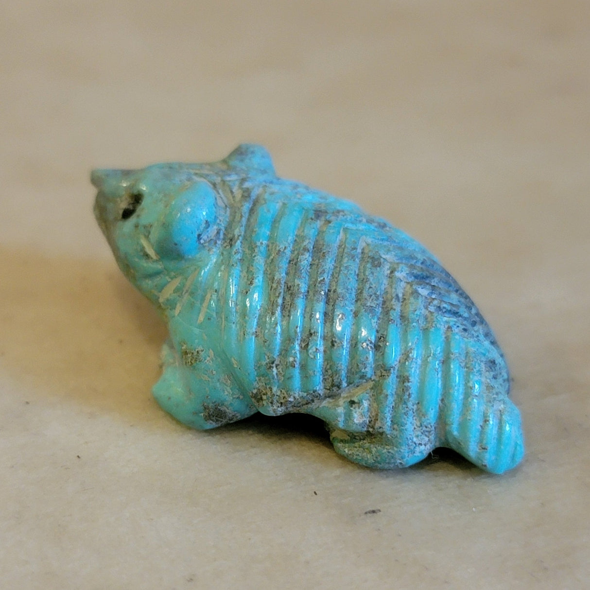 Navajo Furry Turquoise Badger Zuni Fetish