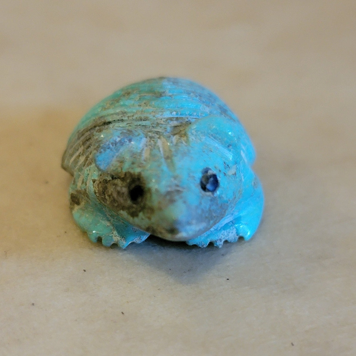 Navajo Furry Turquoise Badger Zuni Fetish