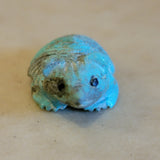 Navajo Furry Turquoise Badger Zuni Fetish