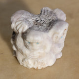 Monkey Business Antler Zuni Fetish