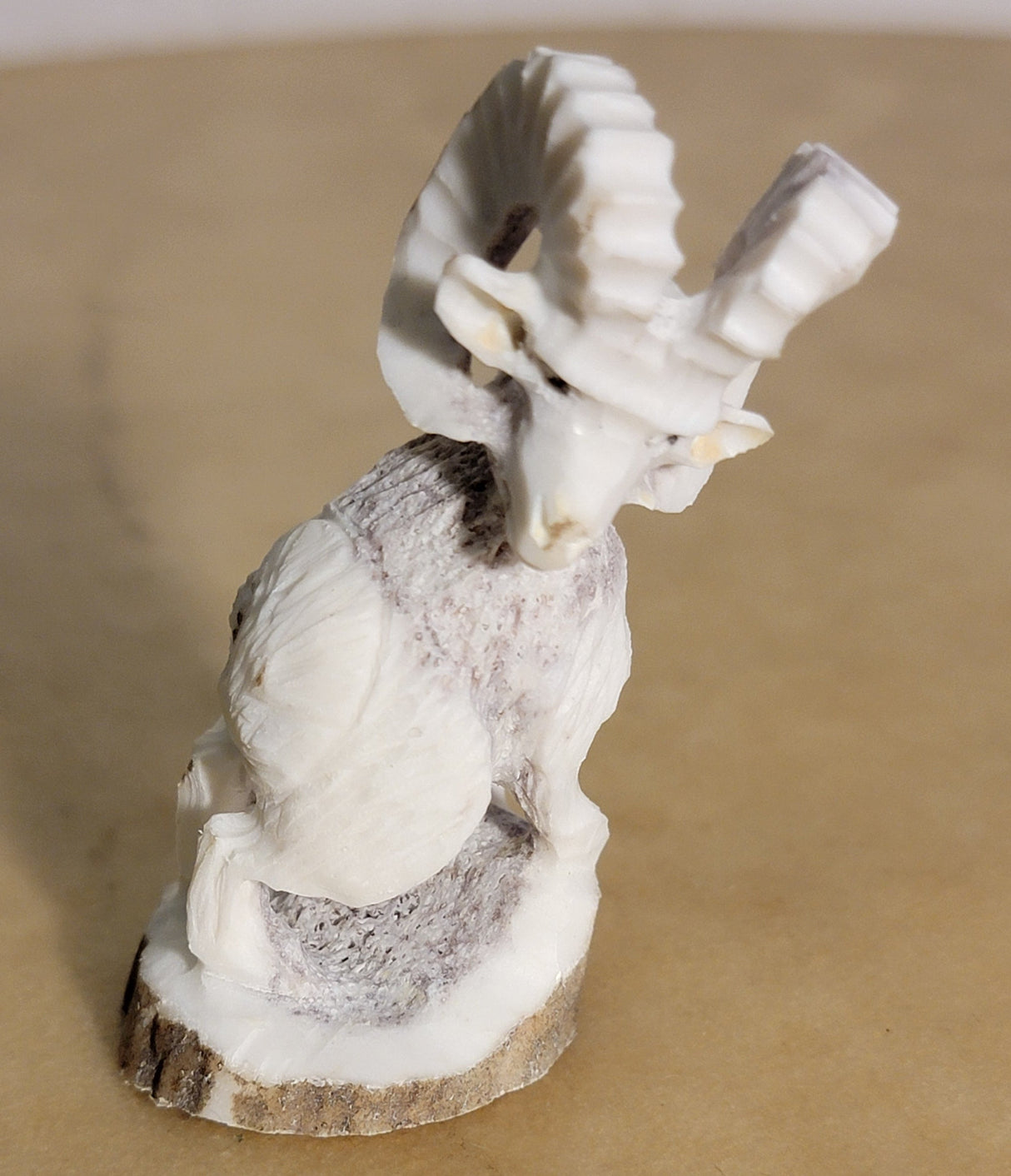 Antler Mountain Ram Zuni Fetish
