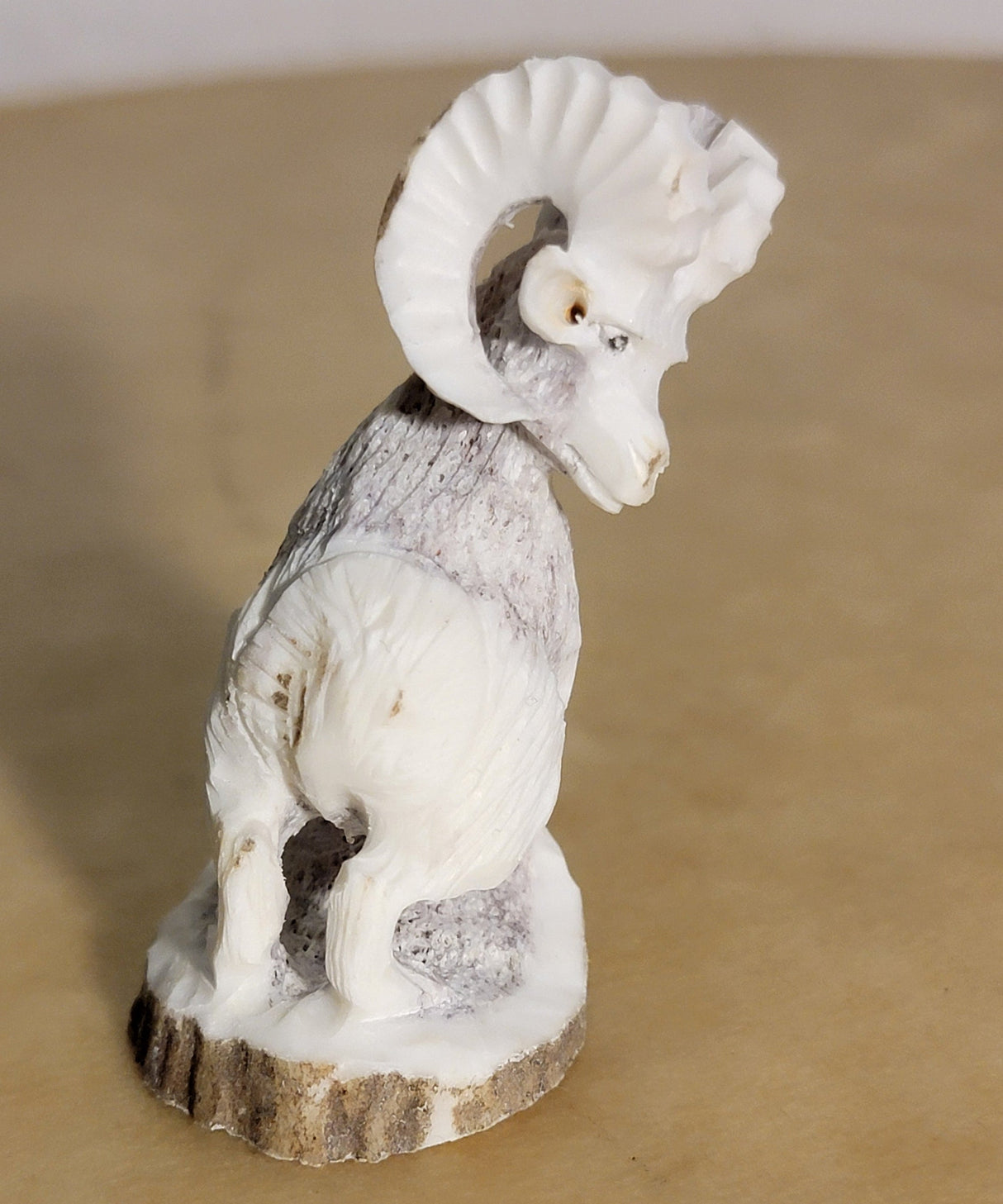 Antler Mountain Ram Zuni Fetish