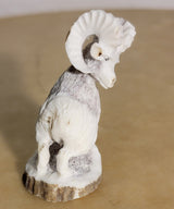 Antler Mountain Ram Zuni Fetish