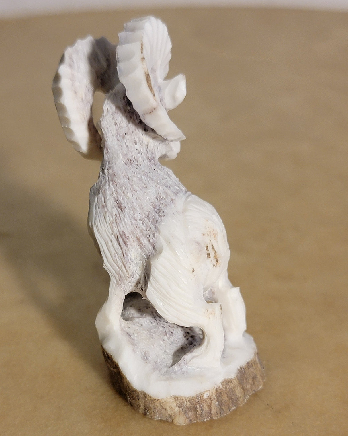 Antler Mountain Ram Zuni Fetish