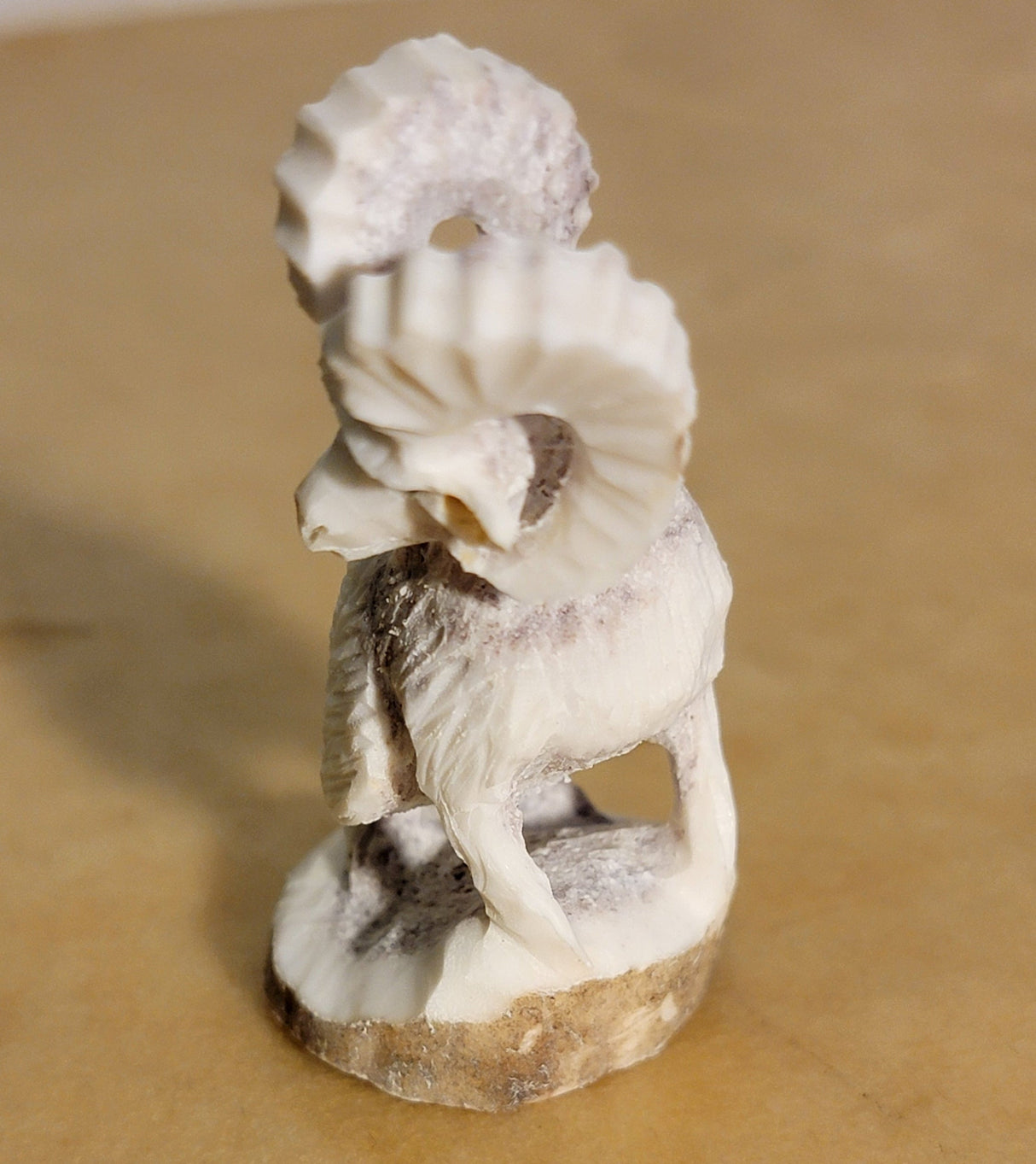 Antler Mountain Ram Zuni Fetish