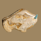 Large and In Charge Bison/Buffalo Zuni Fetish