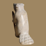 Busy Buck Toothed Beaver Zuni Fetish