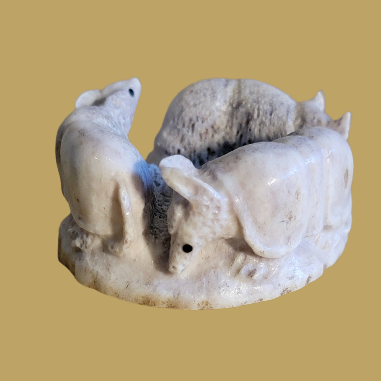 Follow the Leader Antler Armadillos Zuni Fetish