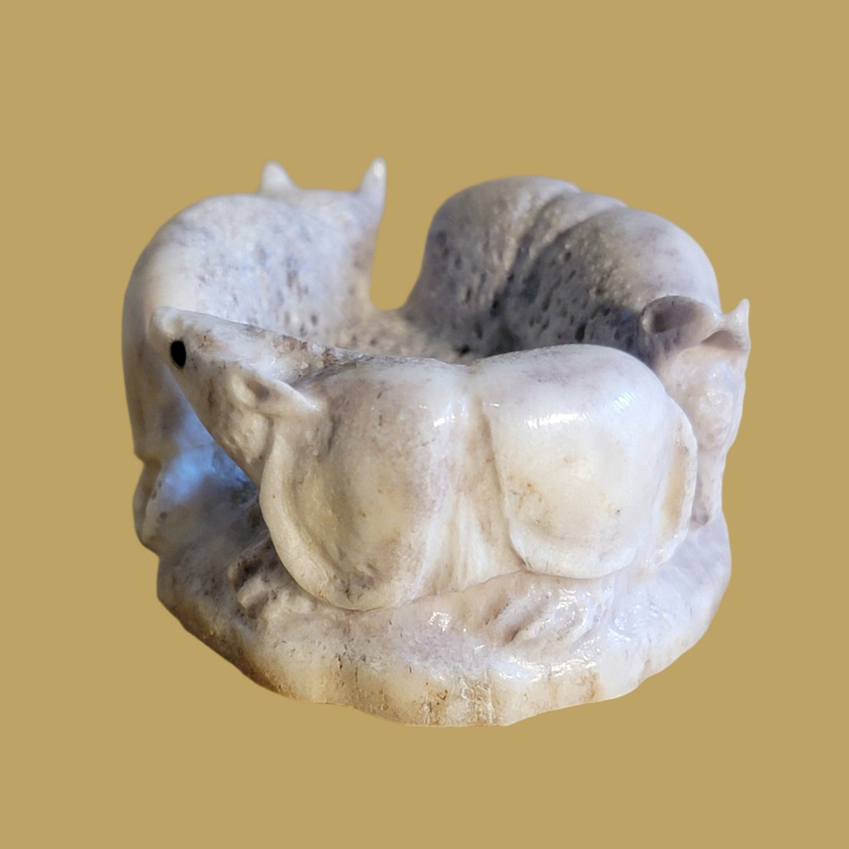 Follow the Leader Antler Armadillos Zuni Fetish