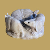 Follow the Leader Antler Armadillos Zuni Fetish