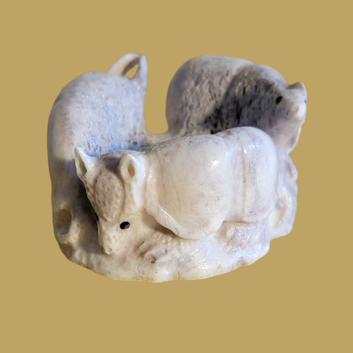 Follow the Leader Antler Armadillos Zuni Fetish