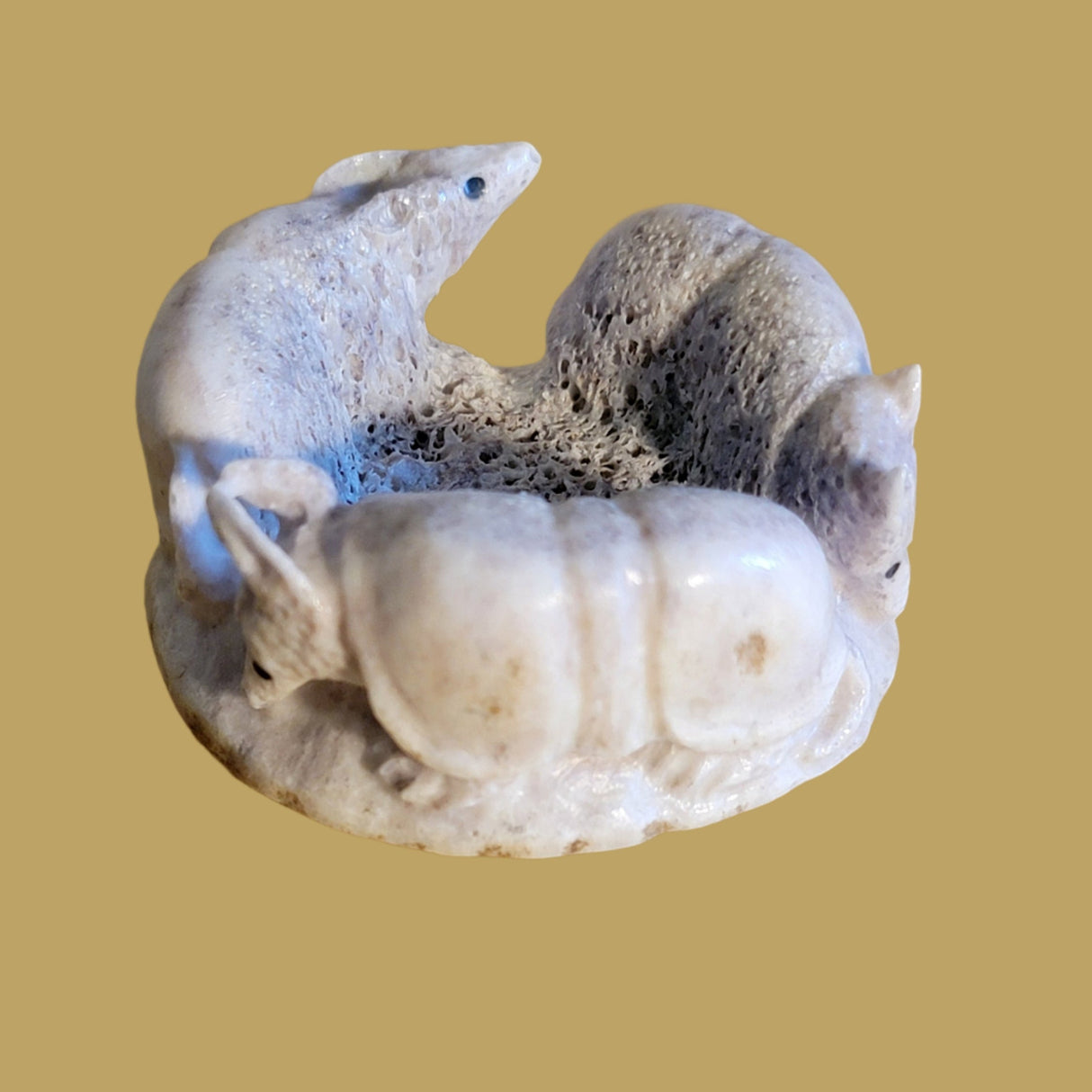 Follow the Leader Antler Armadillos Zuni Fetish