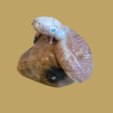Striking Picasso Marble Rattlesnake/Snake Zuni Fetish