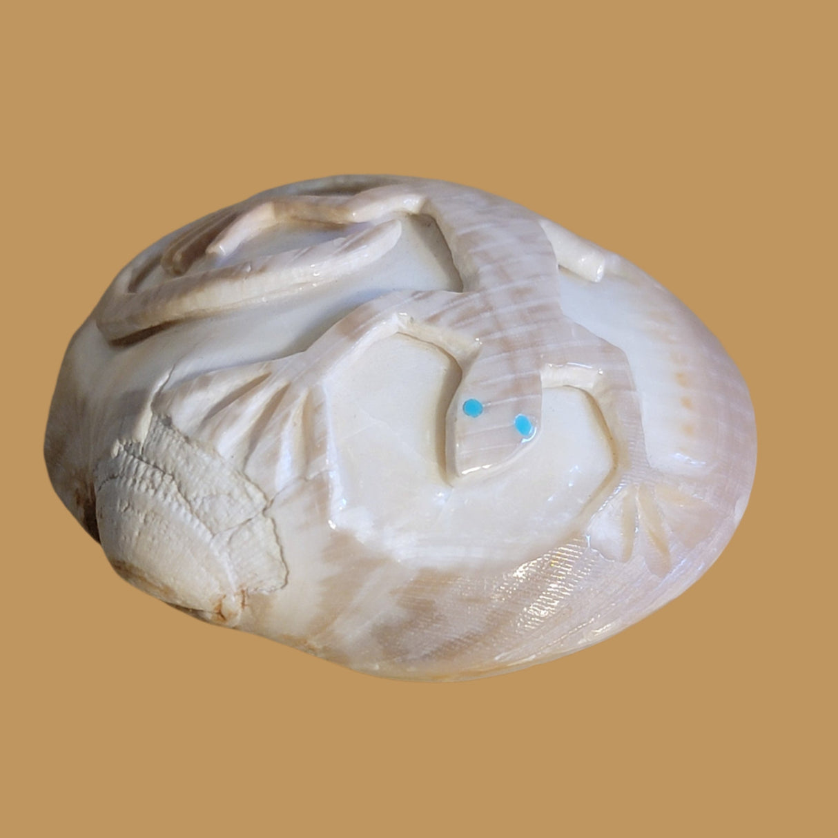 Petrified Spiny Oyster Shell Lizard Zuni Fetish