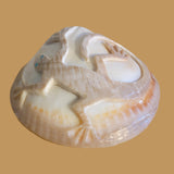 Petrified Spiny Oyster Shell Lizard Zuni Fetish
