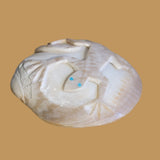 Petrified Spiny Oyster Shell Lizard Zuni Fetish