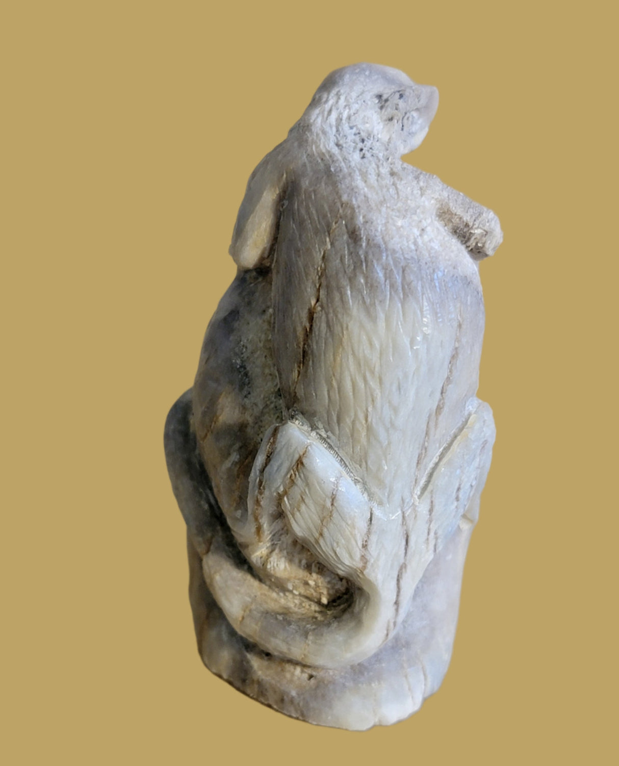 Antler Peering and Climbing Lizard Zuni Fetish