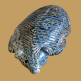 Argite Navajo Furry Badger Zuni Fetish