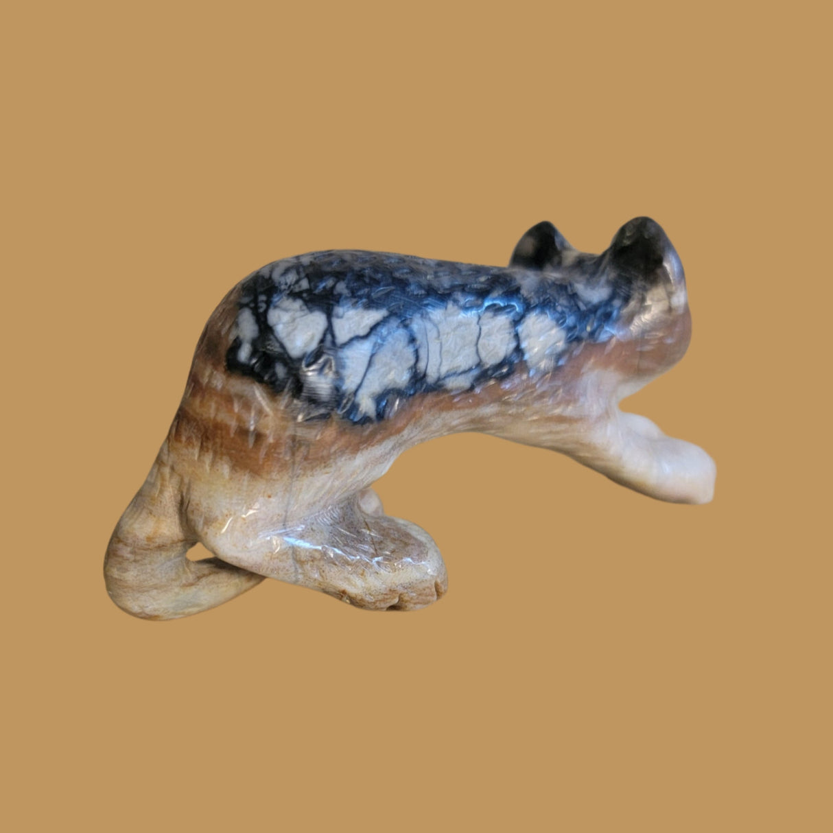 Picasso Marble  Arched Back Mountain Lion Zuni Fetish