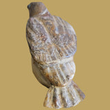 Onyx Mockingbird Zuni Fetish