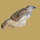 Onyx Mockingbird Zuni Fetish