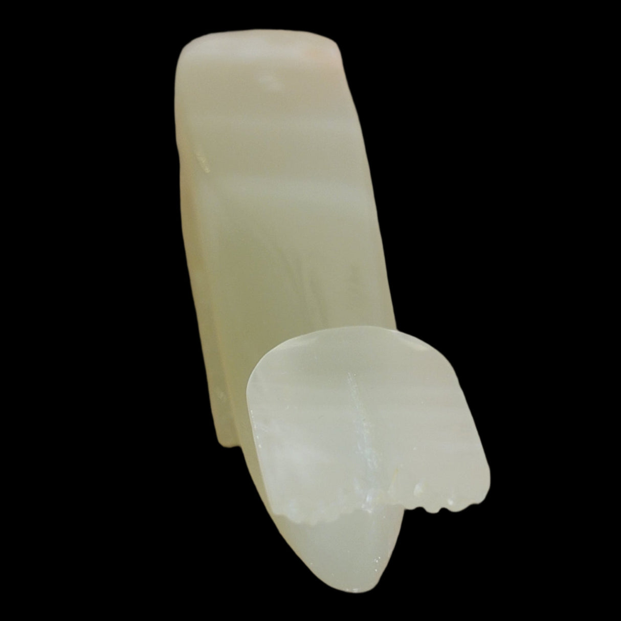 Onyx Whale Zuni Fetish