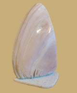 Large Pink Mussel Shell Zuni Corn Maiden Zuni Fetish