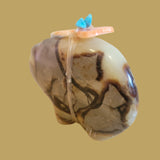 Septarian Nodule (Utah Geode) Zuni Fetish Bear