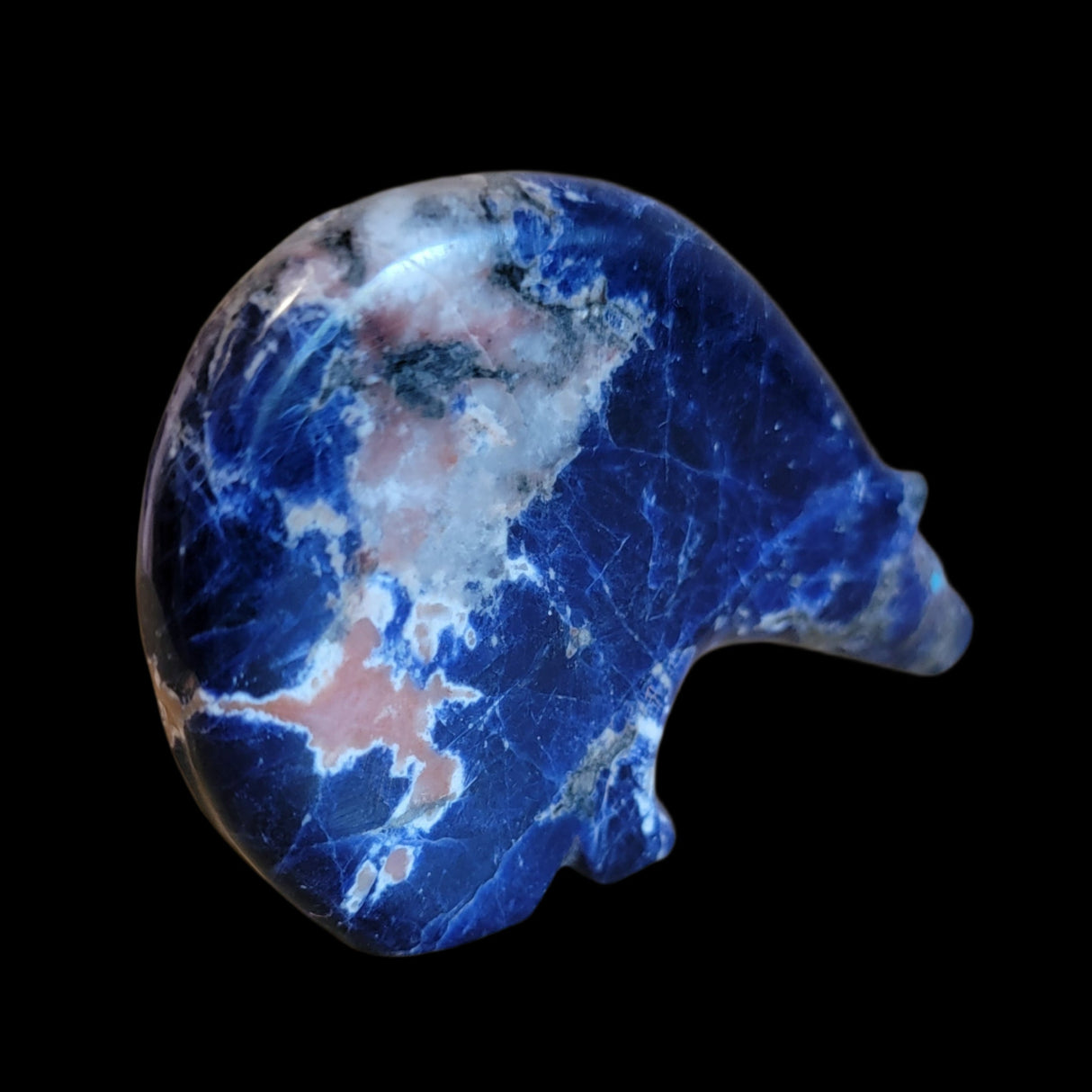 Gorgeous Zuni Fetish Sodalite Medicine Bear