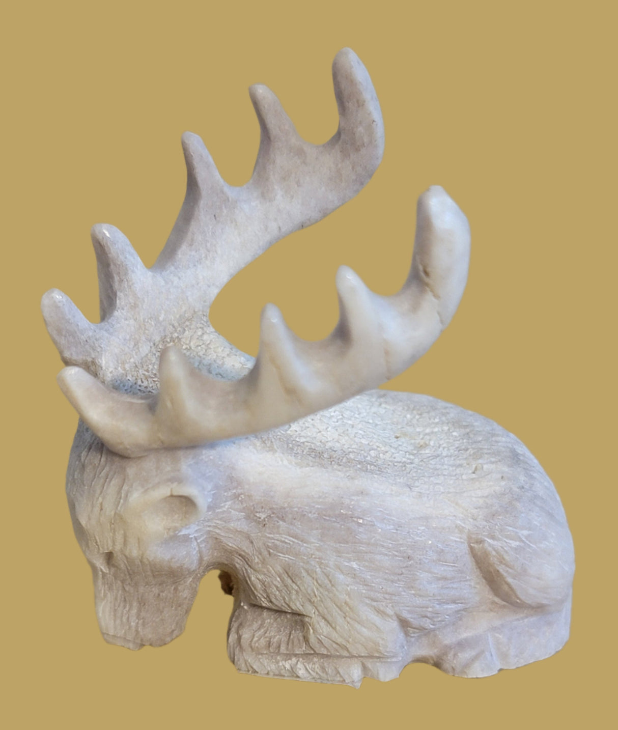 Sweet Napping Antler Elk Zuni Fetish