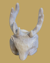 Sweet Napping Antler Elk Zuni Fetish